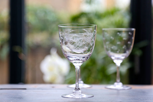 Crystal Wine Glasses With Fern Design (Set of 6)