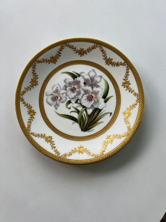 Set Of Ten Limoges Porcelain Orchid Cabinet Plates, 20th Century