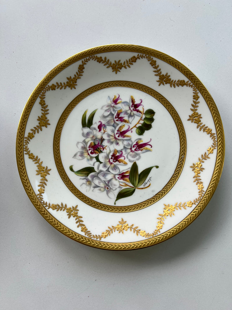 Set Of Ten Limoges Porcelain Orchid Cabinet Plates, 20th Century