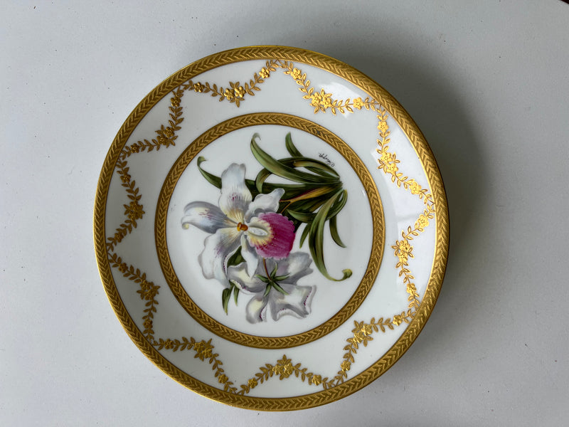 Set Of Ten Limoges Porcelain Orchid Cabinet Plates, 20th Century