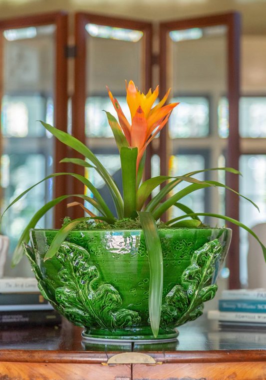 Greco Bowl, Green Leaves