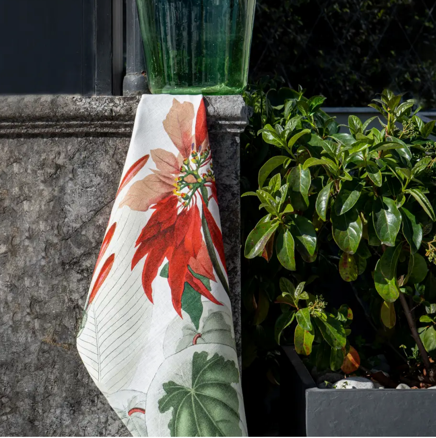 Kitchen Towel Poinsettia