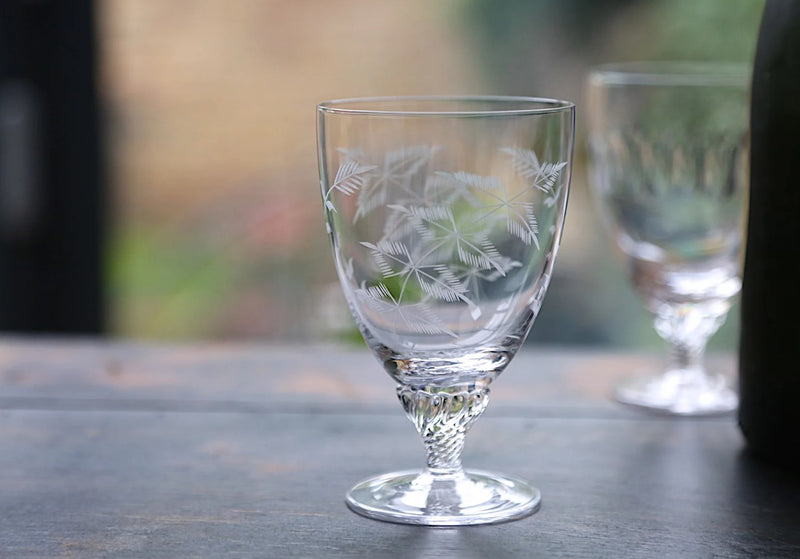 Crystal Bistro Glasses With Fern Design (Set of 6)