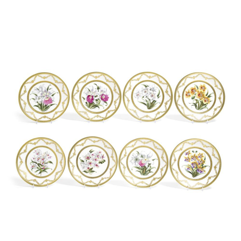 Set Of Ten Limoges Porcelain Orchid Cabinet Plates, 20th Century